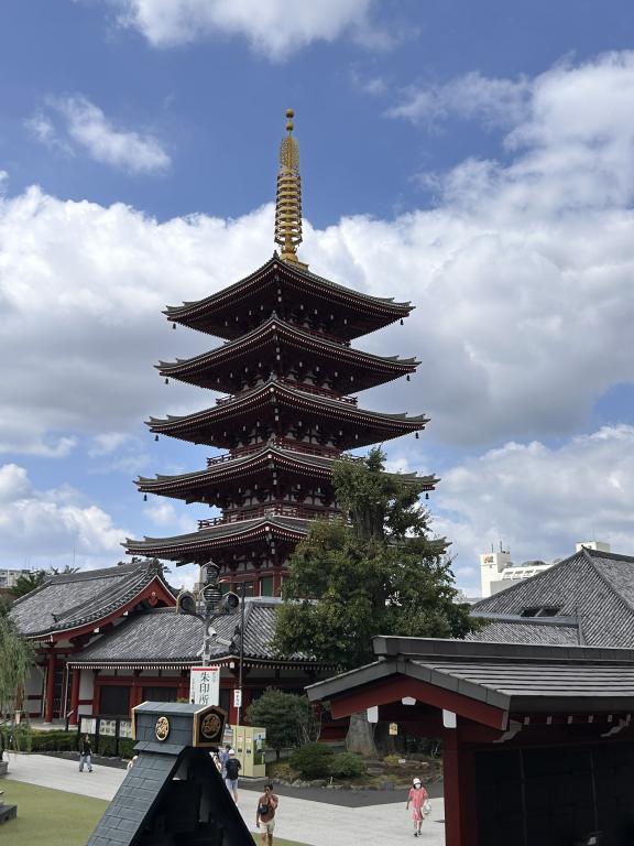 SUR LES ROUTES DU JAPON, ENTRE CERISIERS ET TRADITIONS - Circuit 13 jours du 15 au 27 avril 2026