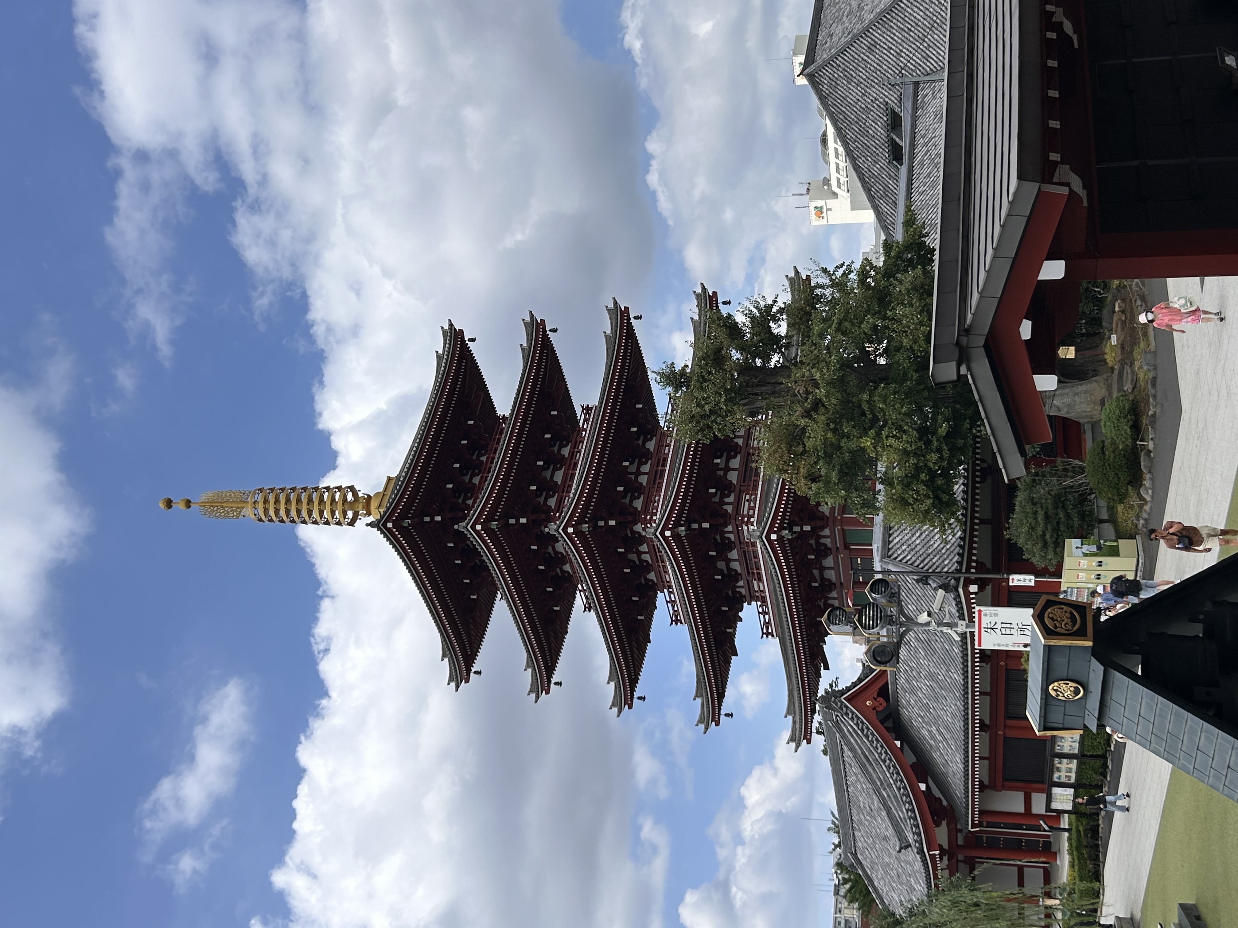 SUR LES ROUTES DU JAPON, ENTRE CERISIERS ET TRADITIONS - Circuit 13 jours du 15 au 27 avril 2026