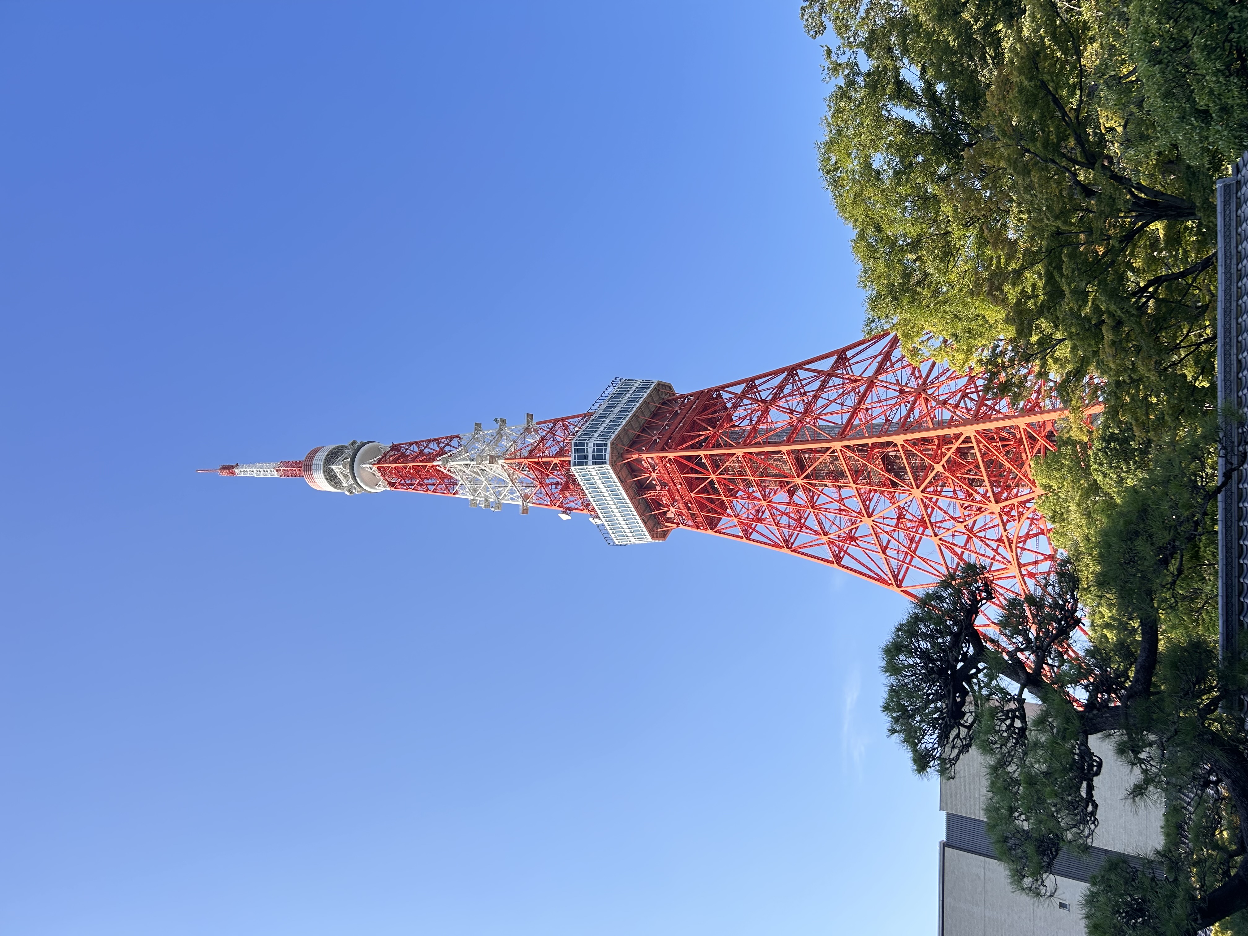 SUR LES ROUTES DU JAPON, ENTRE CERISIERS ET TRADITIONS - Circuit 13 jours du 15 au 27 avril 2026