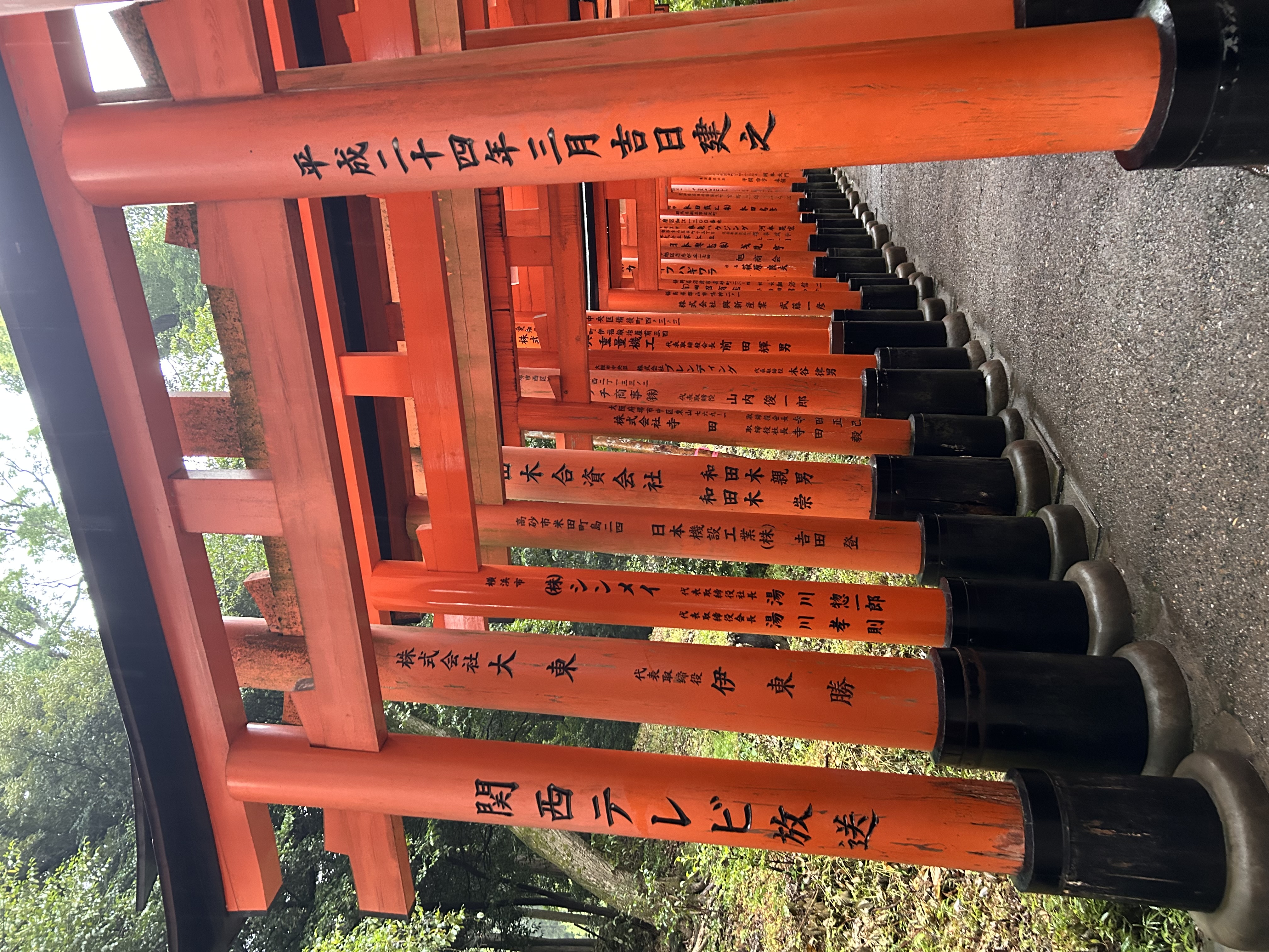 SUR LES ROUTES DU JAPON, ENTRE CERISIERS ET TRADITIONS - Circuit 13 jours du 15 au 27 avril 2026